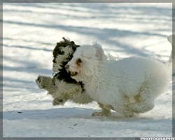 IMG_4037_resize