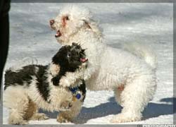 IMG_4042_resize