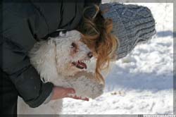 IMG_4059_resize