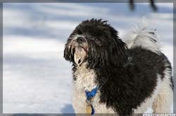 IMG_4062_resize