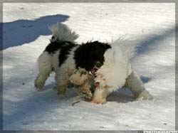 IMG_4075_resize