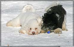 IMG_4085_resize