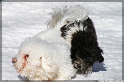 IMG_4087_resize